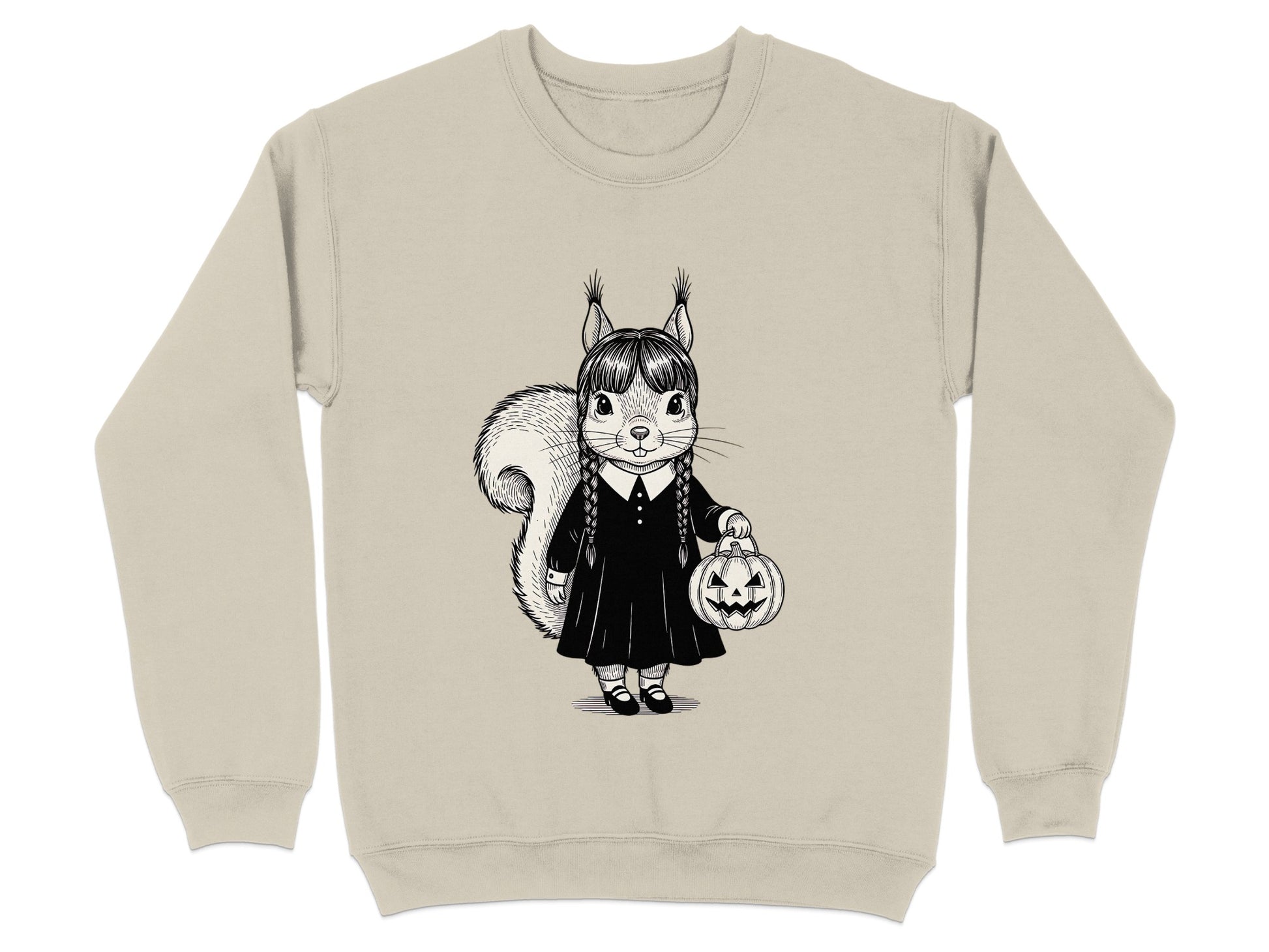 Girl Squirrel with Braids and Pumpkin Sweatshirt product