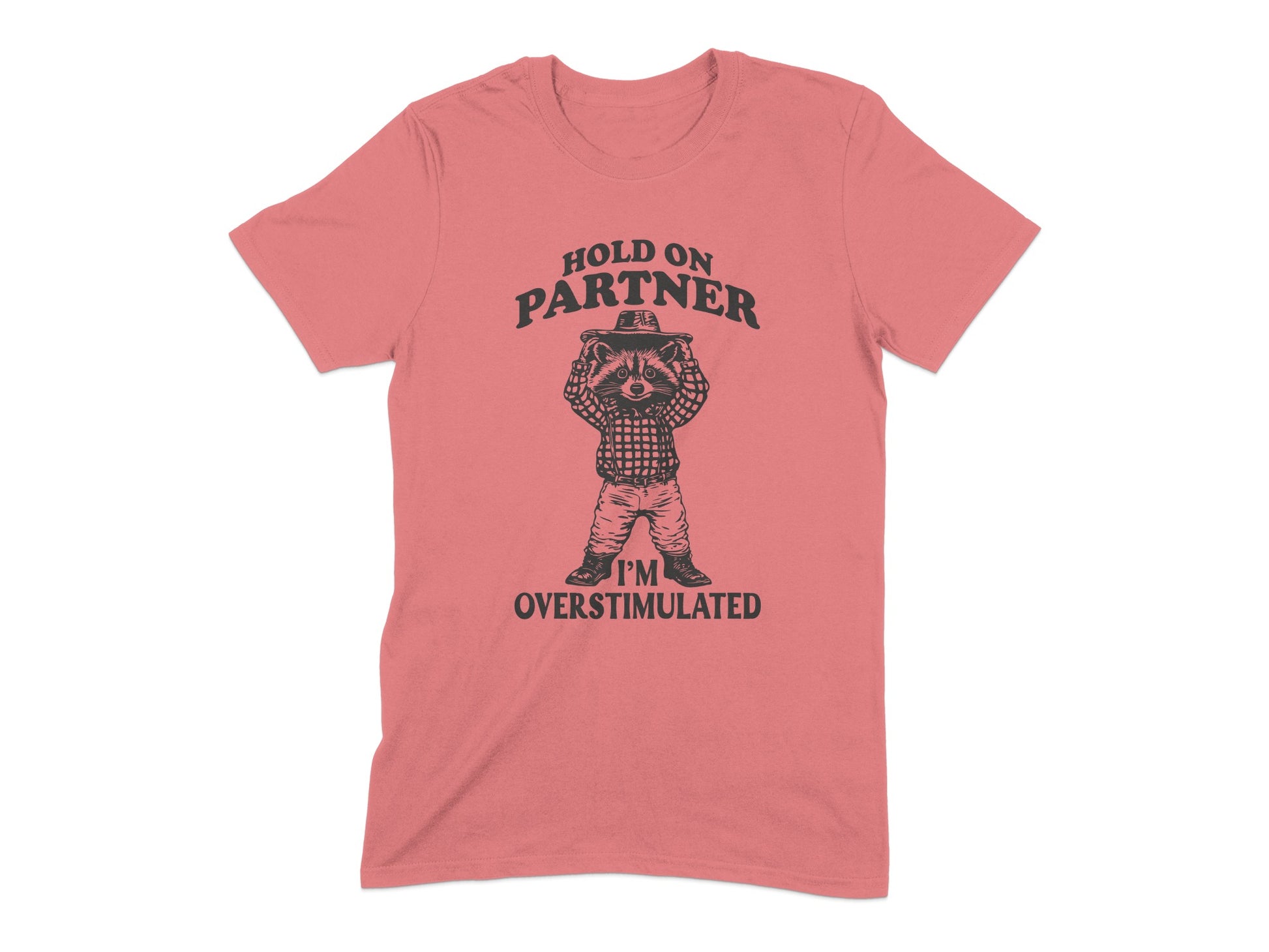 Hold On Partner I'm Overstimulated T-shirt product type