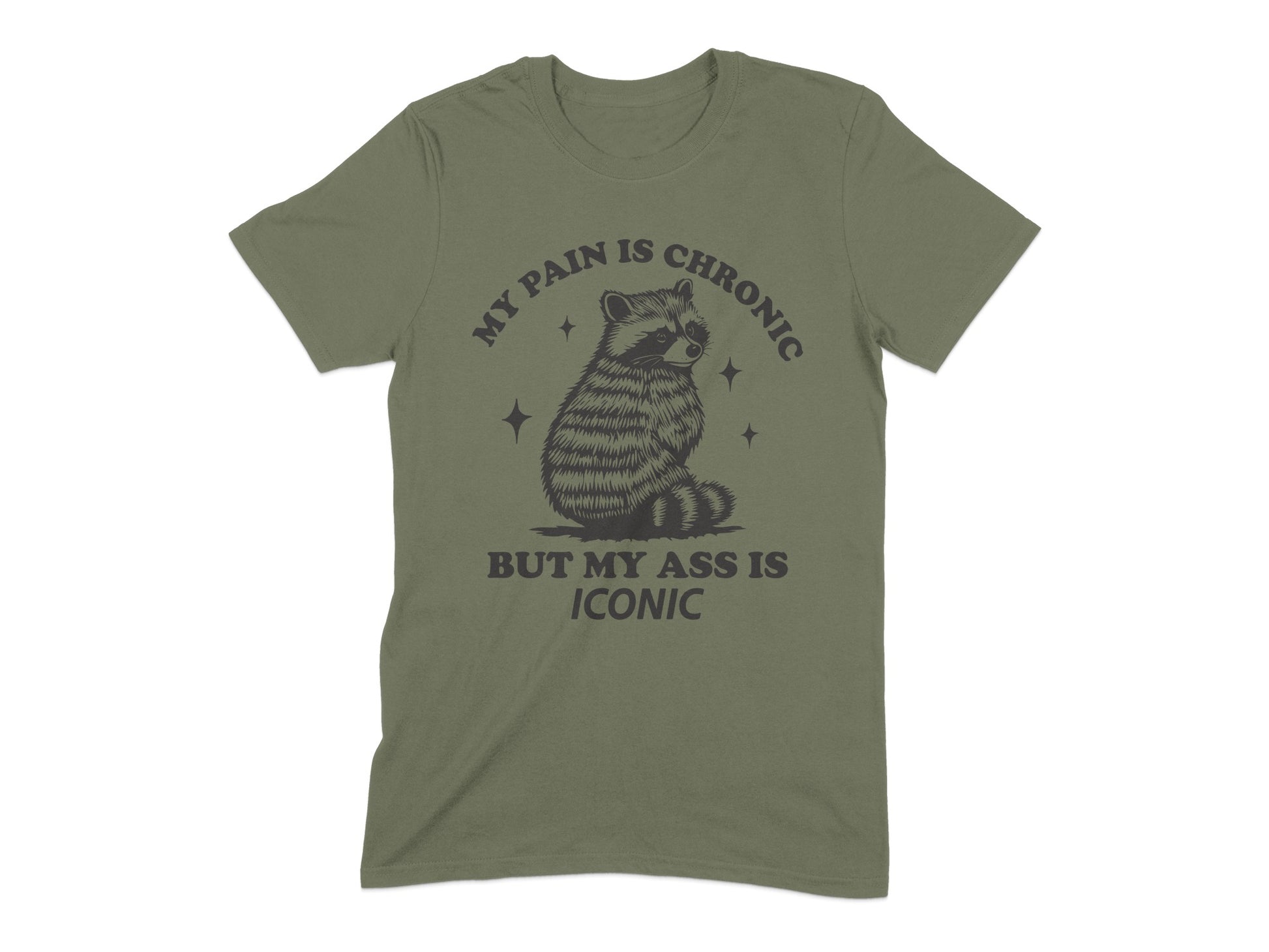 My Pain Is Chronic Iconic Raccoon Graphic Shirt product type