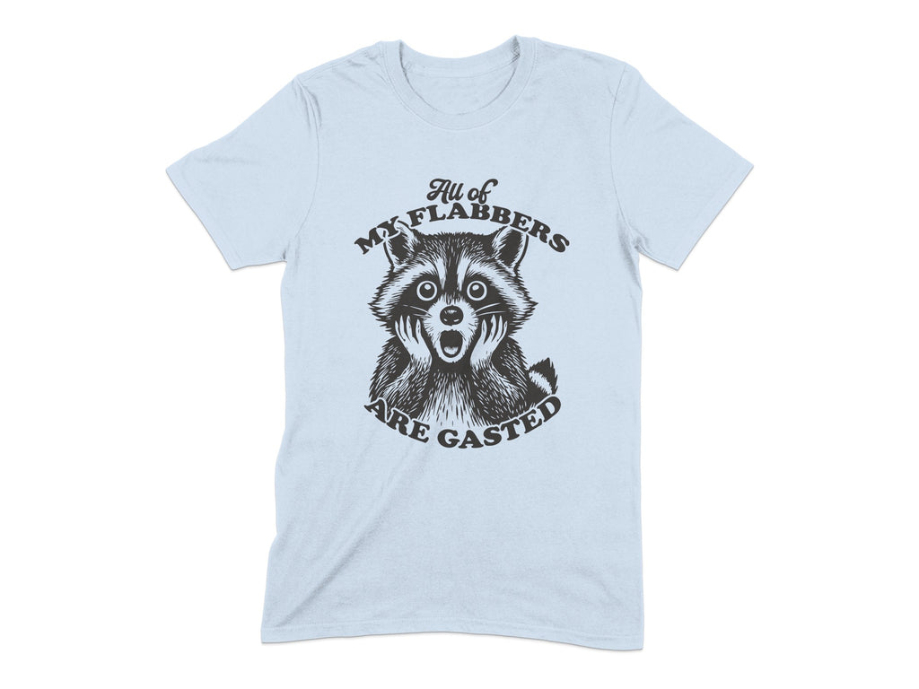 Funny Surprised Raccoon Graphic T-Shirt Novelty product