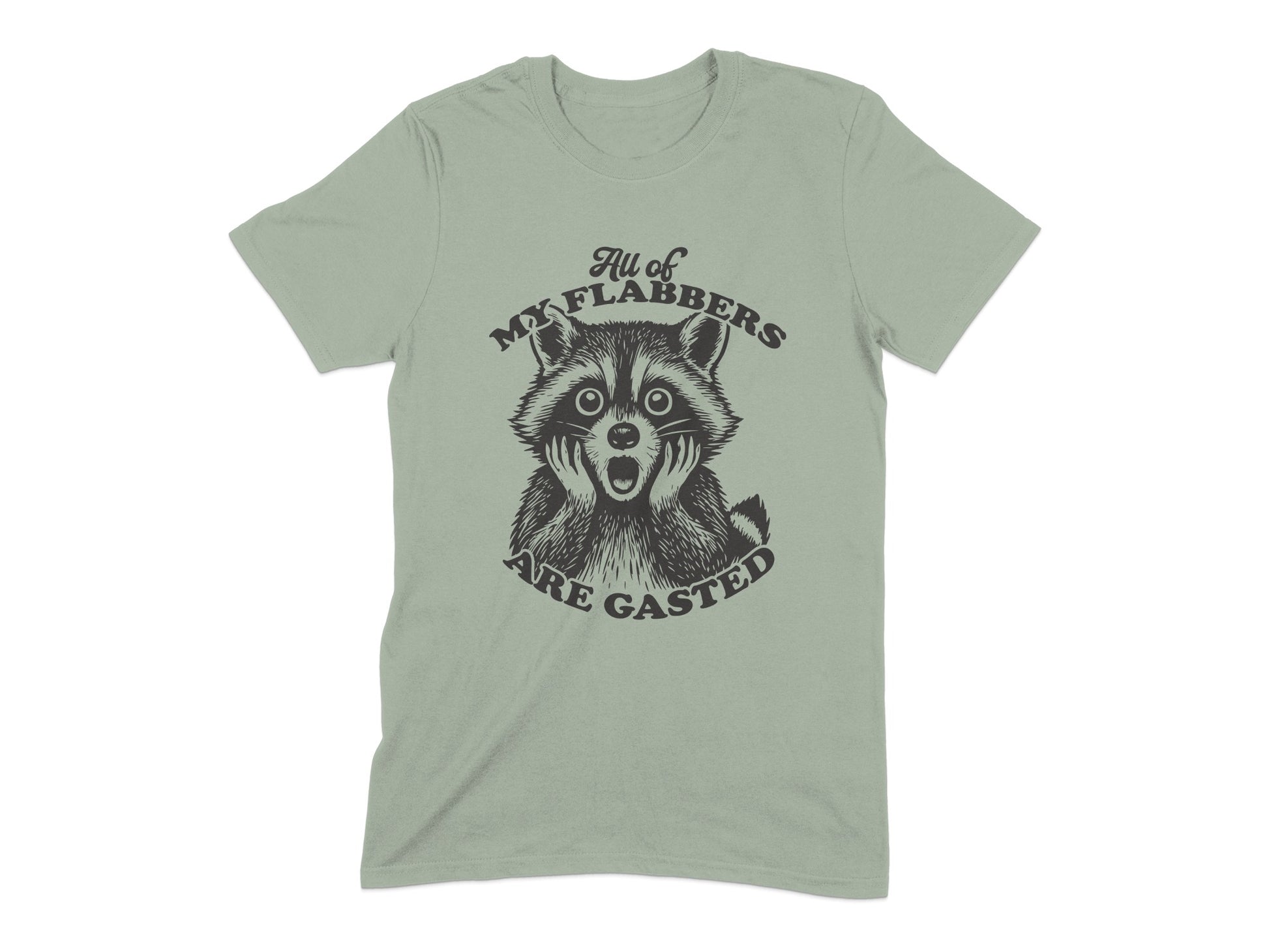 All My Flabbers Are Gasted Raccoon T-shirt product type