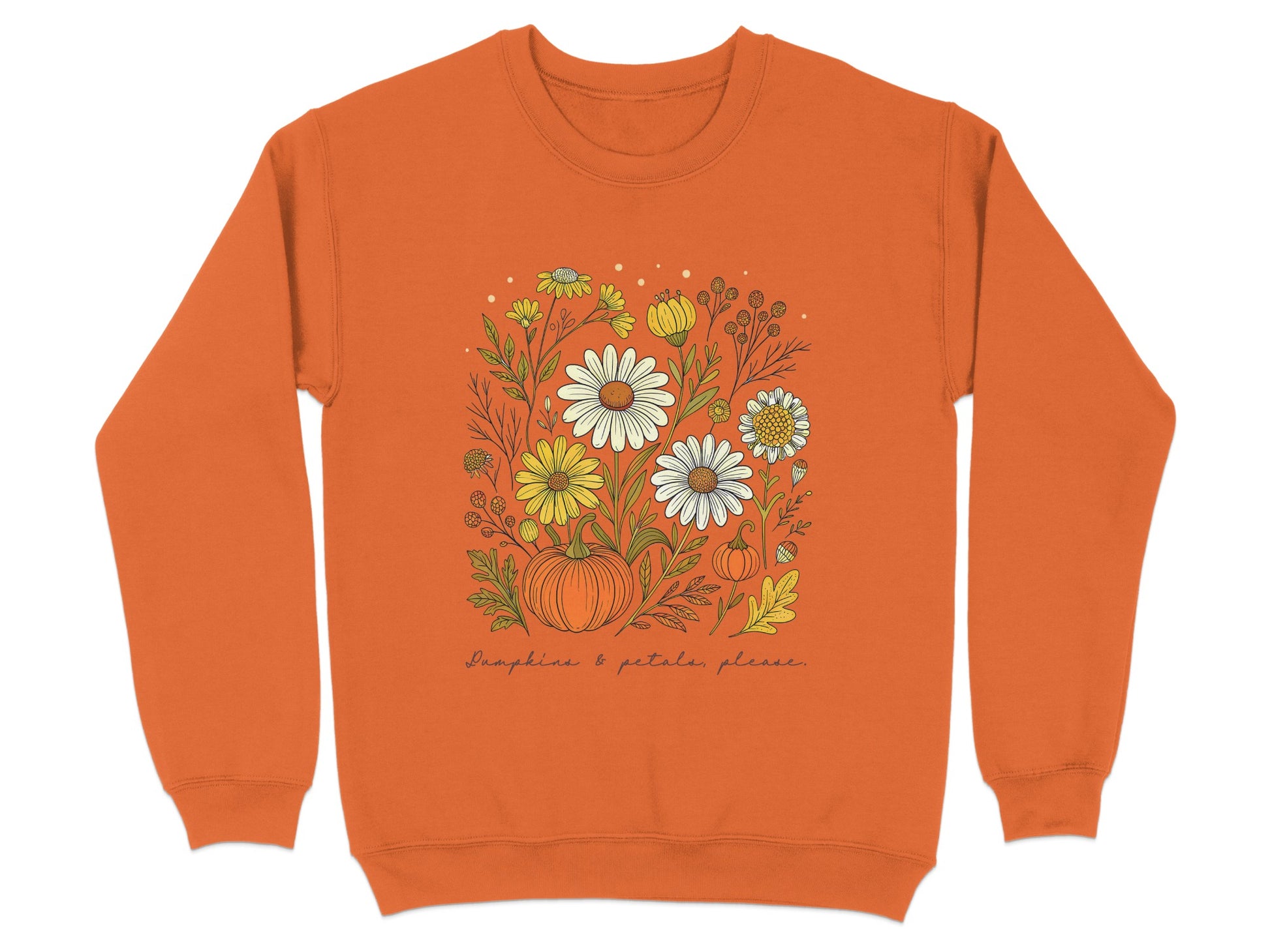 Pumpkin and Daisy Illustration Sweatshirt product