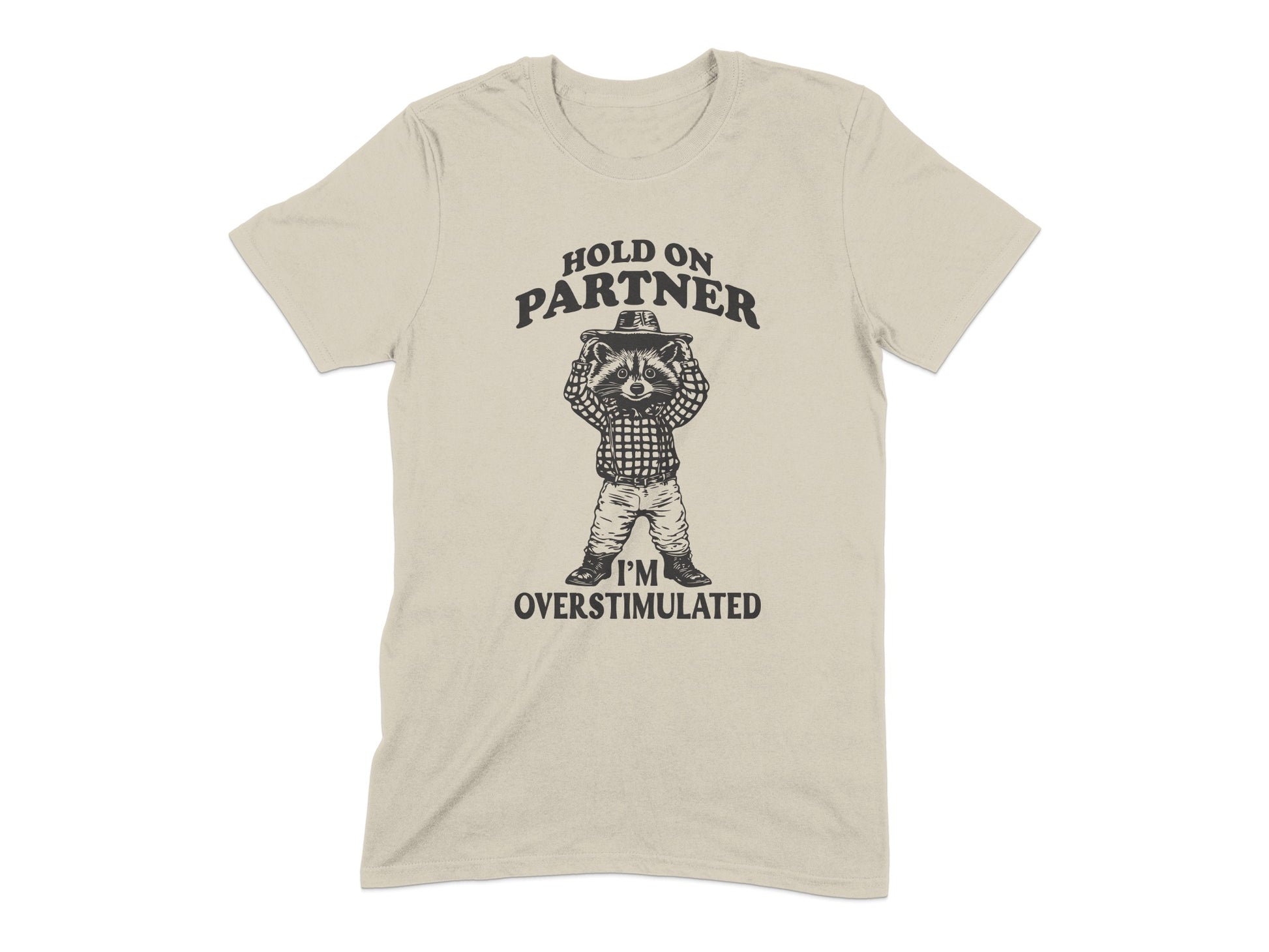 Hold On Partner I'm Overstimulated T-Shirt Product