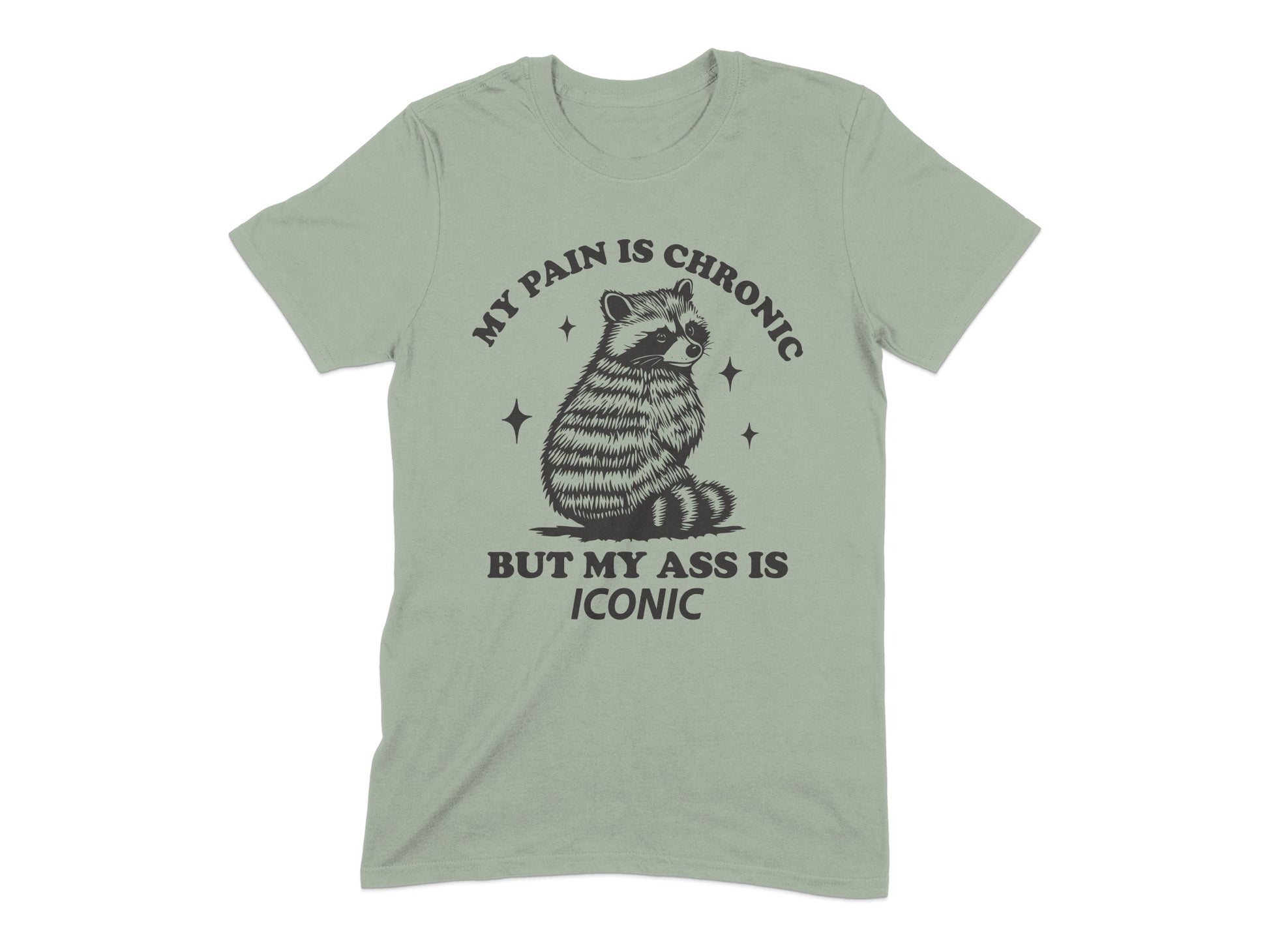My Pain is Chronic But My Ass is Iconic Shirt product type