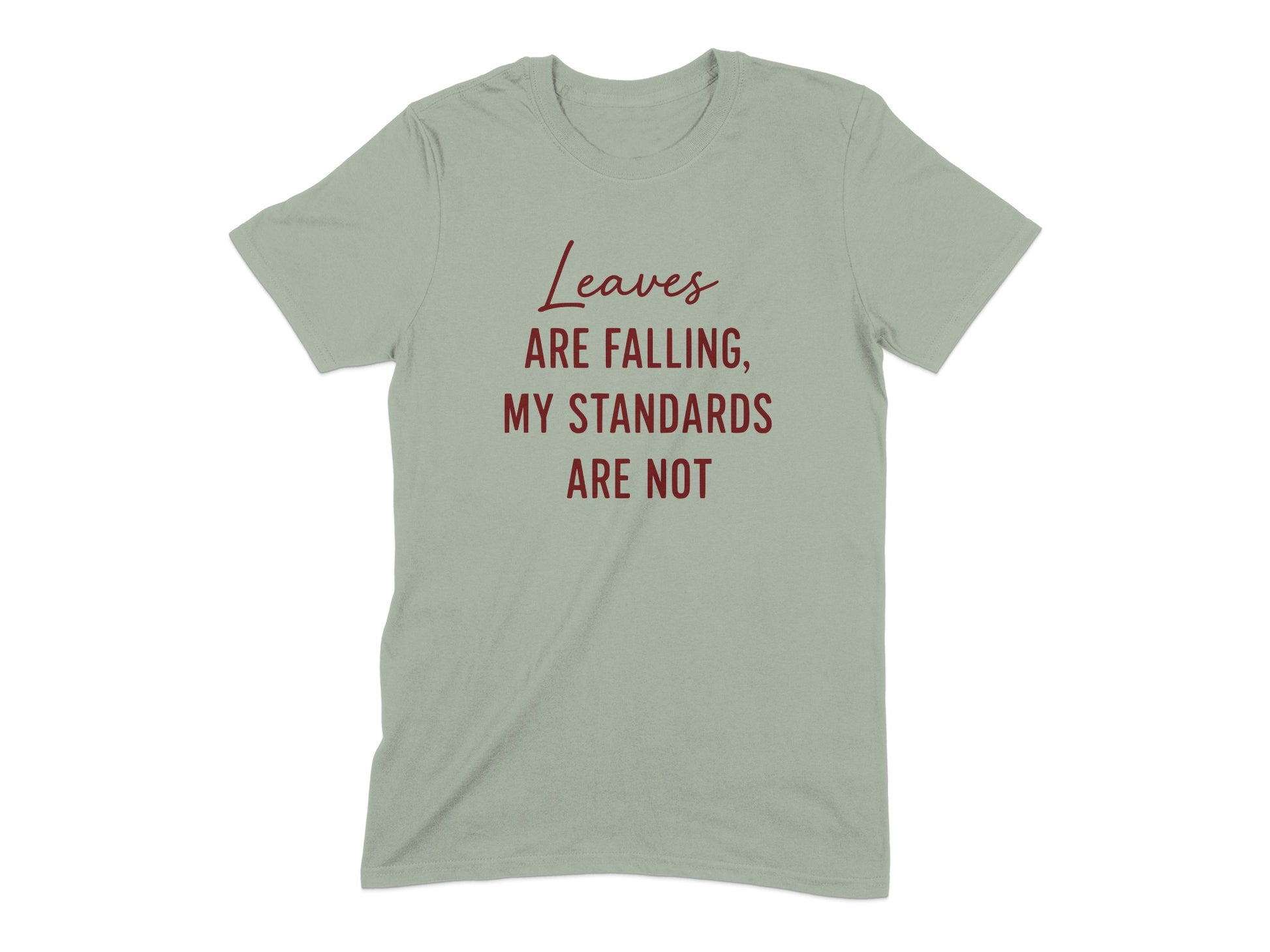 Leaves Are Falling My Standards Are Not product type