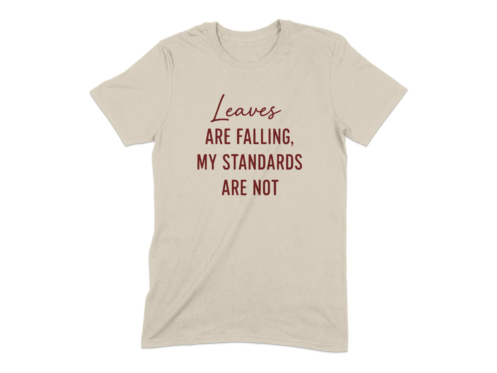 Leaves Are Falling My Standards Are Not product type