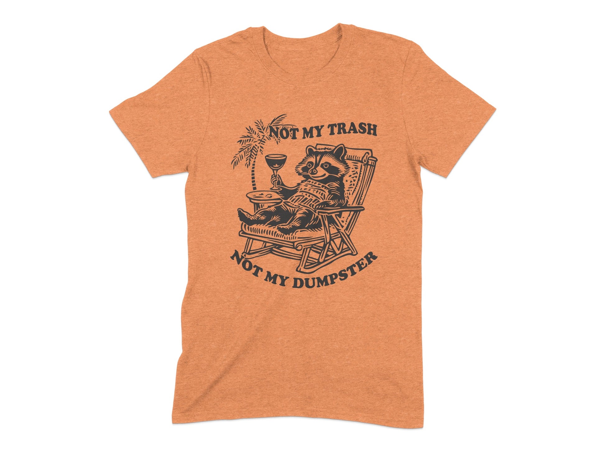 Not My Trash Not My Dumpster Graphic Tee product type