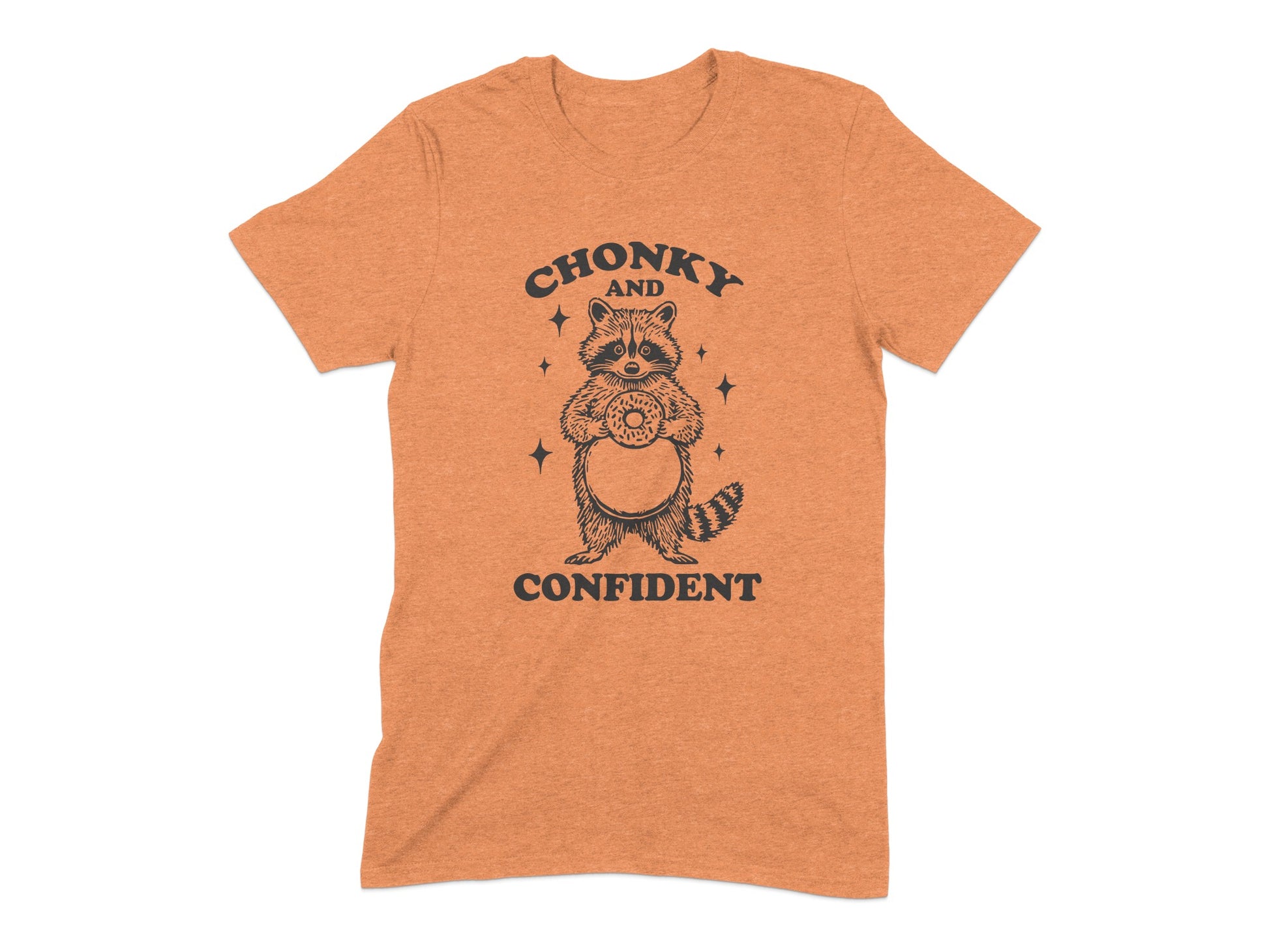 Chonky and Confident Raccoon T-Shirt product type