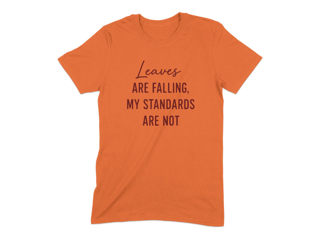 Leaves Are Falling My Standards Are Not product type
