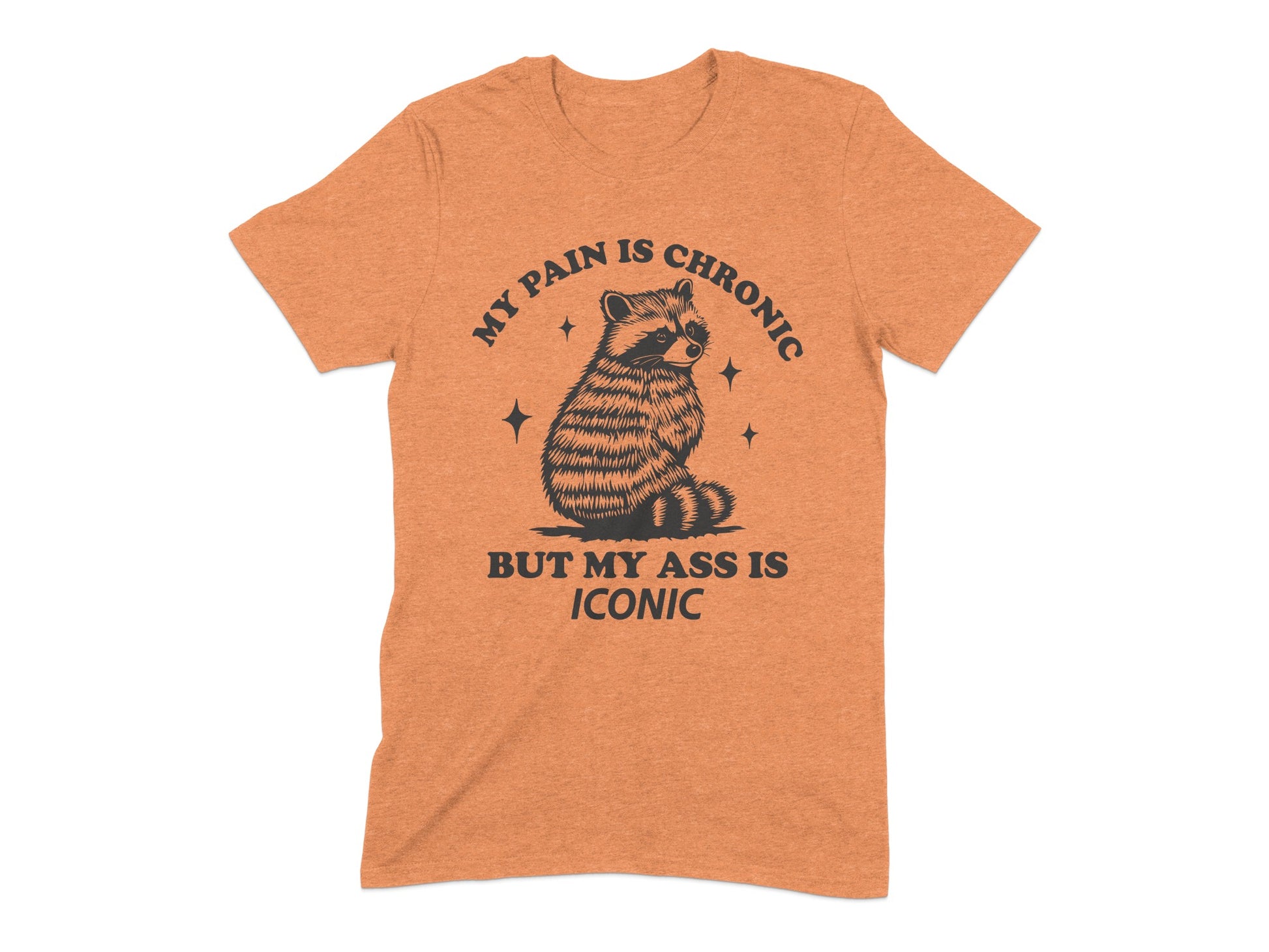 My Pain Is Chronic But My Ass Is Iconic Shirt