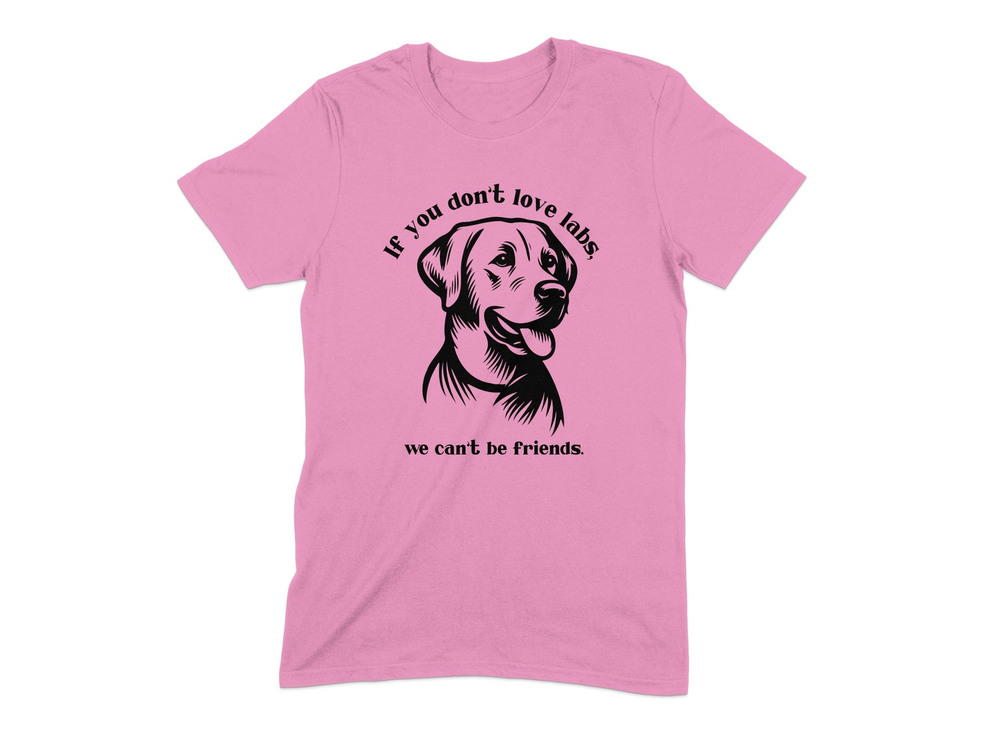If You Don't Love Labs We Can't Be Friends product type