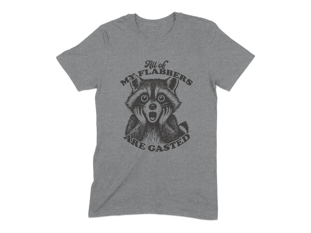 All of My Flabbers Are Gasted Raccoon T-shirt product type