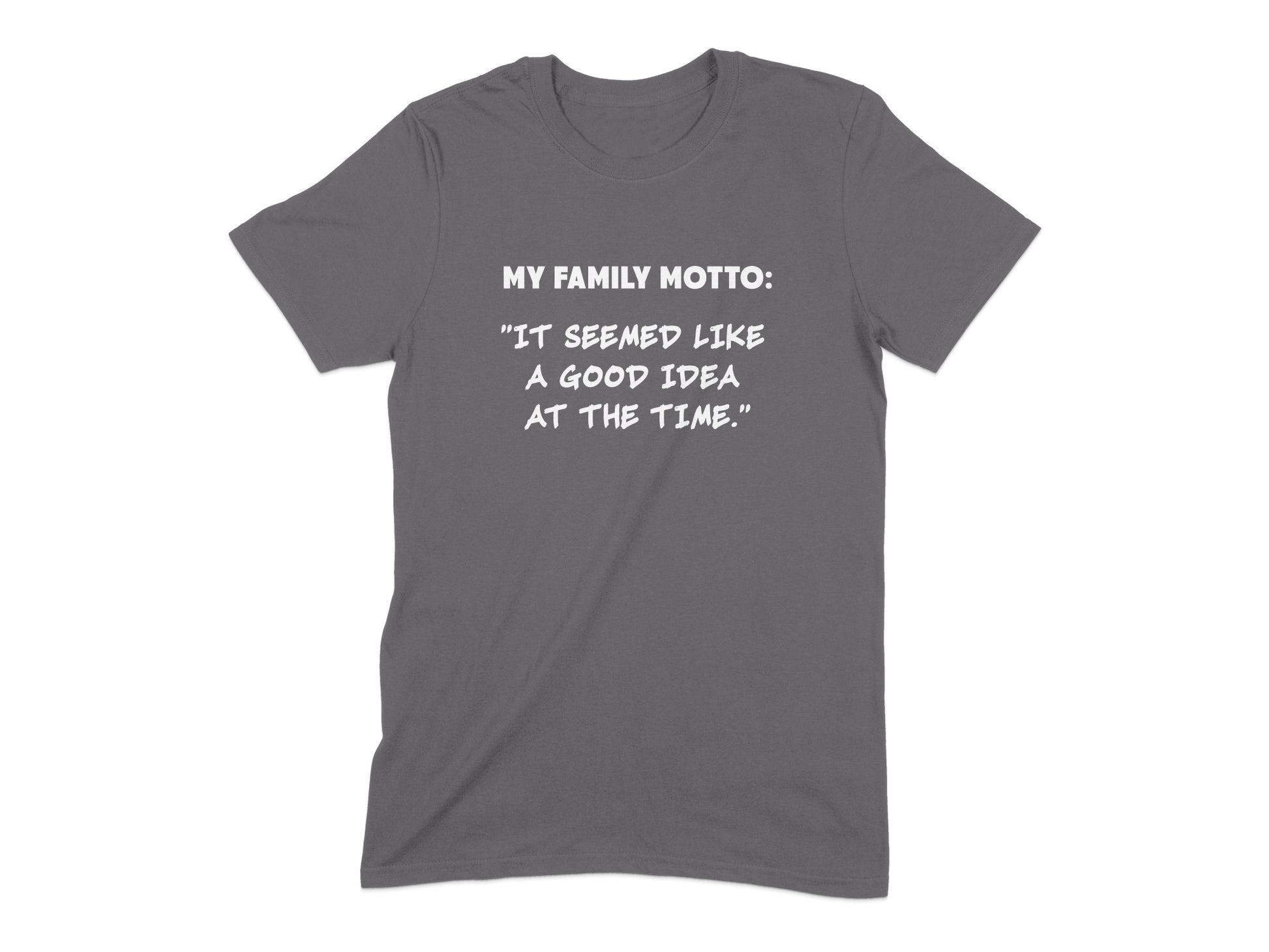 My Family Motto It Seemed Like A Good Idea At The Time product type