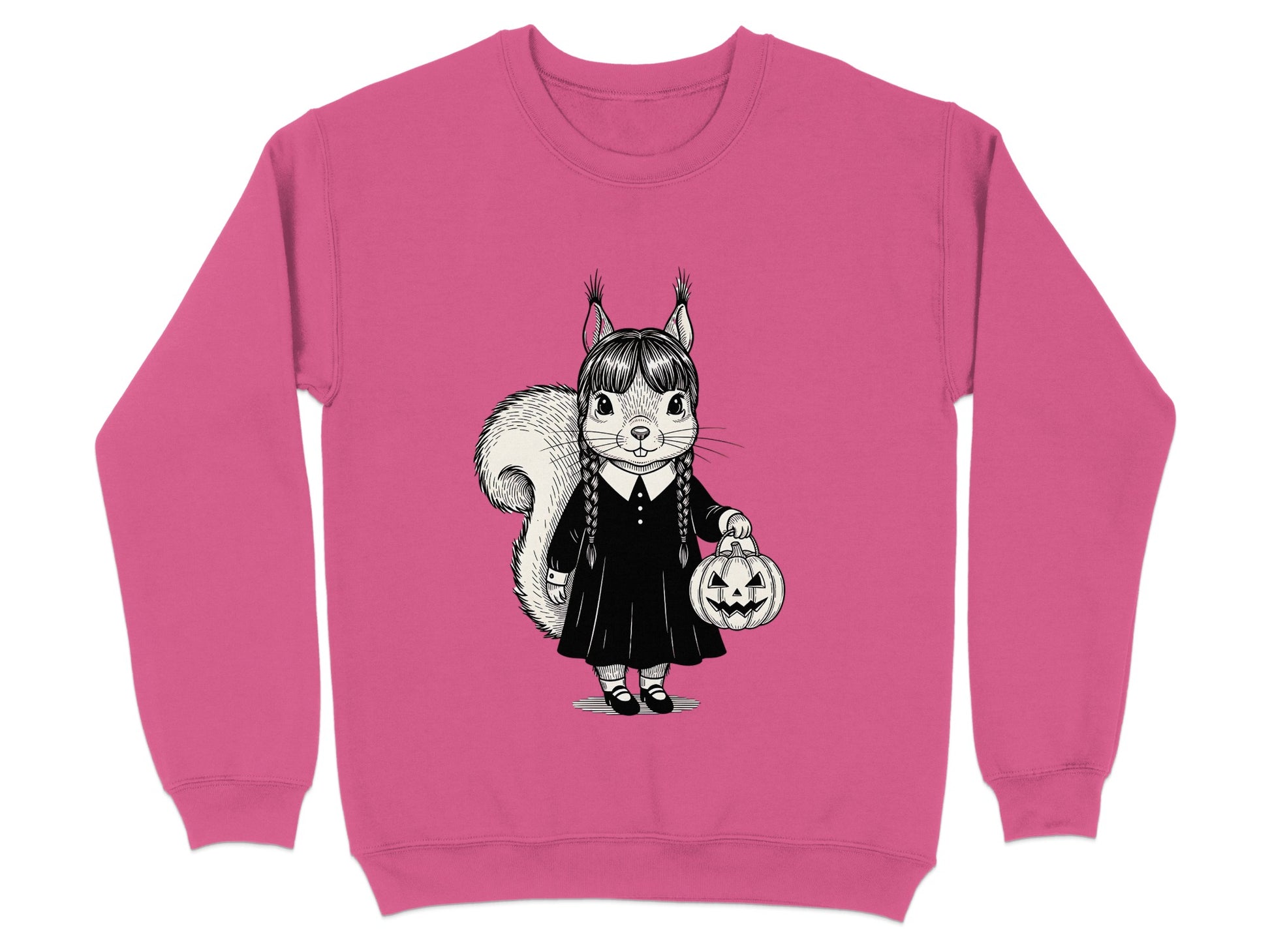 Adorable Squirrel Character Halloween Sweatshirt Product Type